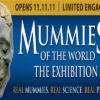 Mummies of the World Exhibition Charlotte