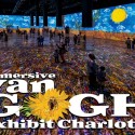 Immersive Van Gogh Exhibit Charlotte