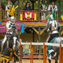 2015 Carolina Renaissance Festival