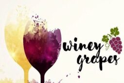 2023 Winey Grapes: Charlotte Wine Festival