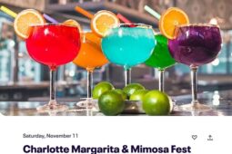 Charlotte Margarita & Mimosa Fest